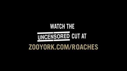 Zoo York Reklama