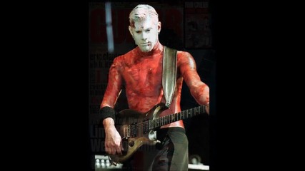 Limp Bizkit (wes Borland)