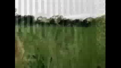 *beyonce - Deja Vu (freemasons club Mix)