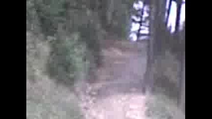 Балкан 50 в Копривщица
