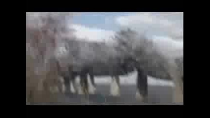 Взривяване На 80 Годишен Мост 