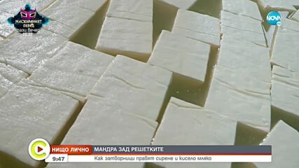 „НИЩО ЛИЧНО”: Затворници правят сирене и мляко у нас
