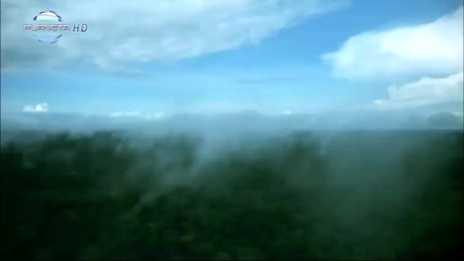 Джена - Всичко давам да си тук