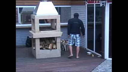 Big brother family - компания 16.05.2010