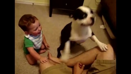 Cute_dogs_and_adorable_babies_co