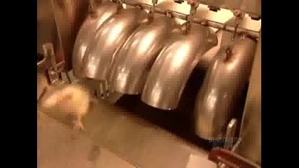 How Its Made 311