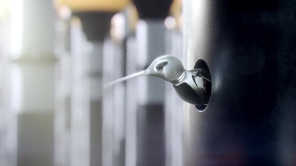 Robotic bird