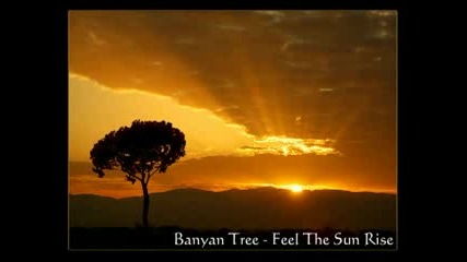 Banyan Tree - Feel The Sun Rise