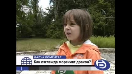 Как изглежда морският дракон