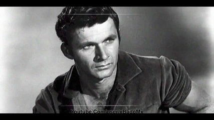 Dick Dale Riders In The Sky (hq Audio) 