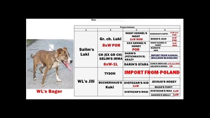 Wl kennel