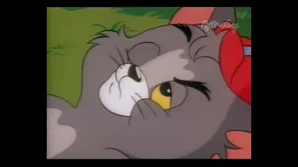 53 A - As The Cheese Turns 