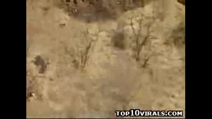 Crazy Crazy Free Fall Stunt