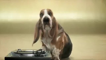 kutche pravi beatbox 