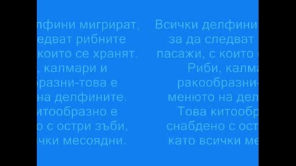 Помогнете На Делфините