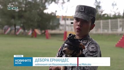 Кой е Командо - миниатюрното чихуахуа, което стана част от Националната гвардия на Мексико