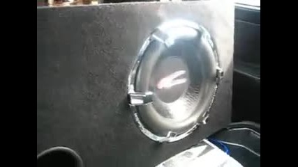 Bass 