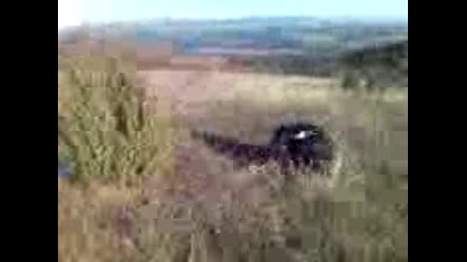 Glupaka Ot Bato6evo.3gp