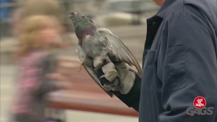 Смешна Скрита Камера