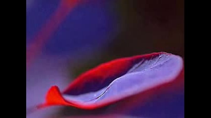 Leaf Me Alone