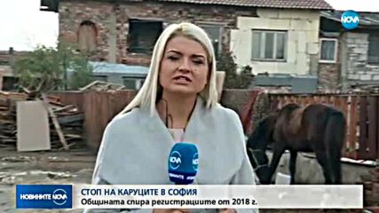 Новините на NOVA (12.11.2017 - обедна емисия)