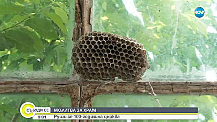 Видео - (2019-04-21 09:23:08)