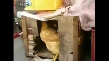 Изнасилвате ;d