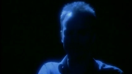 Sting - Fields Of Gold