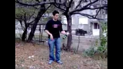 Djani Boy 