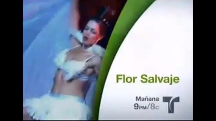 Flor Salvaje Avance Capitulo 93