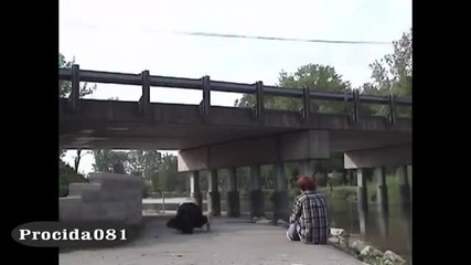 110% Гарантиран смях!!!