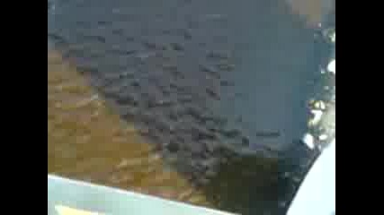 luss1