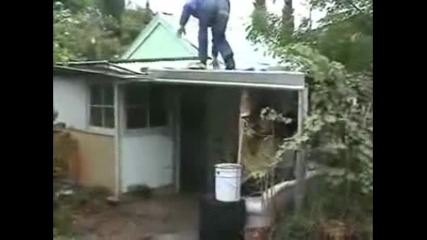 Бързата работа срам за Майстора Смях