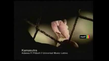 Pitbull ft. Adassa - Kamasutra