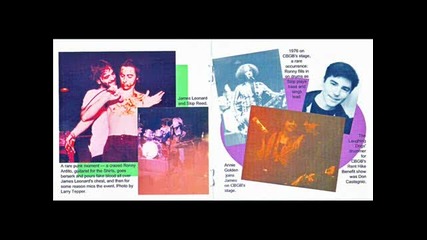 Reason For Love - The Laughing Dogs 