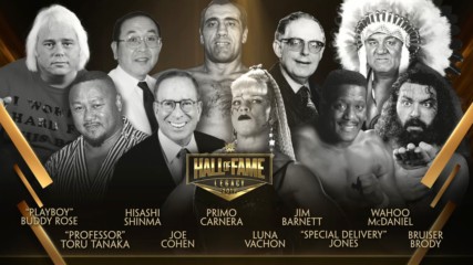 Meet the WWE Hall of Fame 2019 Legacy inductees