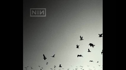 Nine Inch Nails - Down In It 