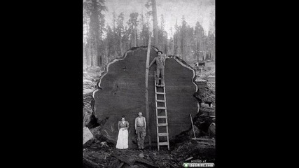 Топ 20 Най - Невероятни снимки - The Best Of The Best 