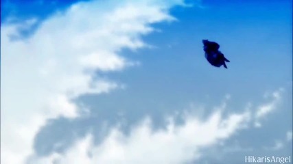 [ Hq ] Bakemonogatari X Munto - Light Up The Sky