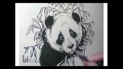Много Готина Рисунка на Панда... 