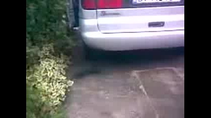 Sharan pu6ak