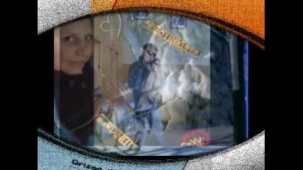 diego~roberta~stivi 
