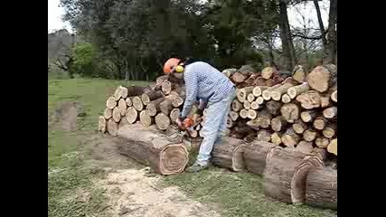 Stihl Ms 180 - Weekend Firewood Work