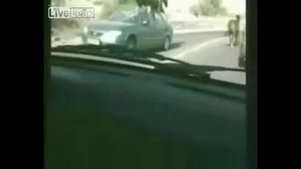 Кола блъска кон