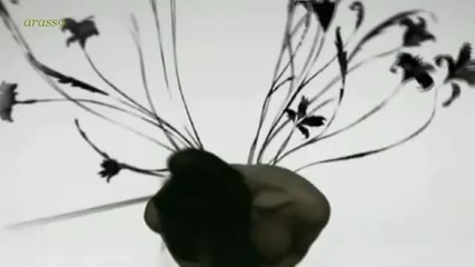 Beautiful Butterfly