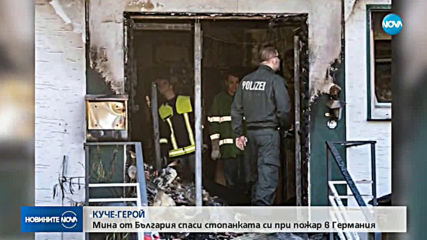 Българското куче Мина стана герой в Германия