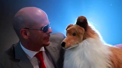 Pitbull - Give Me Everything Parody!