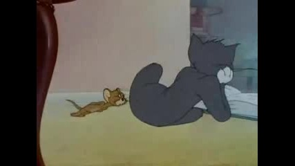 Tom & Jerry - Jerrys Diary