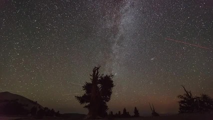 Метеоритен поток Персеиди