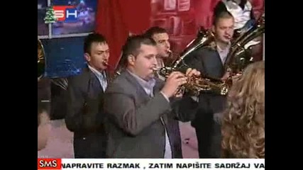 Jelena Brocic - Zvezda Danica